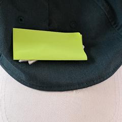 Cap, segons ha informat Madurodam mitjançant iLost