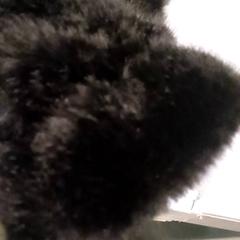 Hanske handw, som rapportert av Qbuzz GD Groningen HS ved bruk av iLost