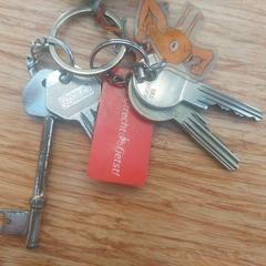 Clé & Clés, a été signalé par Gemeente Zeist utilisant iLost