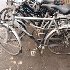 Bicicletta Gazelle, come riportato da Fietsdepot Meierijstad utilizzando iLost