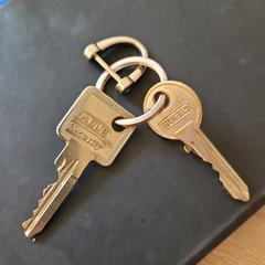 sleutelbos, amint azt az iLostnak jelentették.