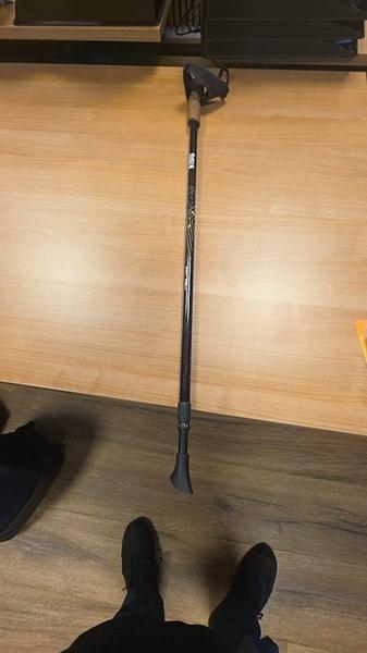 Walking stick