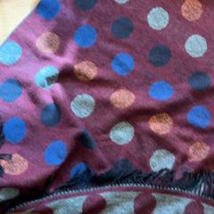 Poncho, jak nahlášeno GVB pomocí iLost