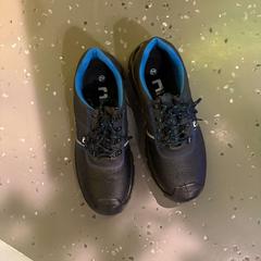 Shoe BLACK AND BLUE, as reported by Room Mate Bruno using iLost