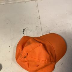 Pet Oranje, zoals gemeld door Artis met iLost