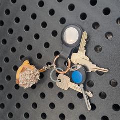 Sleutel، كما تم الإبلاغ عنه بواسطة Arriva Infoshop Enschede عبر iLost