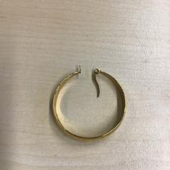 Oorbel, zoals gemeld door Gemeente Nijmegen met iLost