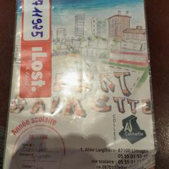 Taccuino de correspondance, come riportato da TCL utilizzando iLost