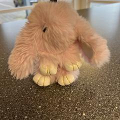 Knuffel, zoals gemeld door Connexxion Amstelveen met iLost