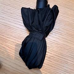 우산, iLost를 사용하여 Rijksmuseum van Oudheden에 보고됨