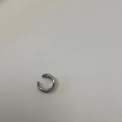 Boucle d'oreille ohri, a été signalé par Schönbrunn "Group Center" utilisant iLost