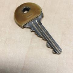 Nyckel, rapporterat av Haaglanden Medisch Centrum med iLost