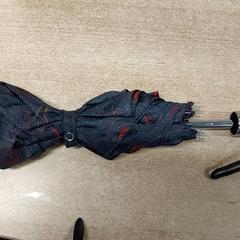 Paraguas - Opvouwbare, ha sido reportado por Centraal magazijn con iLost