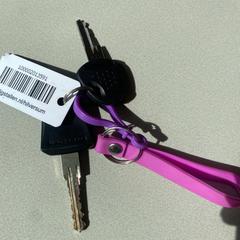 İLost kullanarak Gemeente Hilversum tarafından bildirildiği gibi Sleutelbos