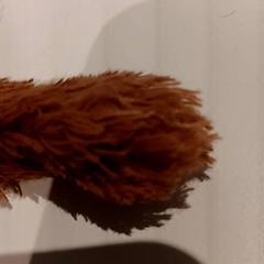 Cuddly slap, as reported by De Efteling using iLost