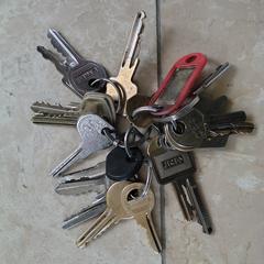 Sleutelbos met 16 sleutels., som rapporterats till iLost