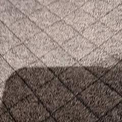 Armilla, segons ha informat De Efteling mitjançant iLost