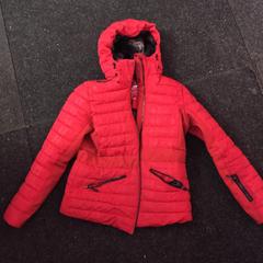 Dzseki, amint azt Schaatsbaan Rotterdam az iLost segítségével jelentette.