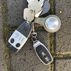 Sleutelbos, jak bylo nahlášeno na iLost