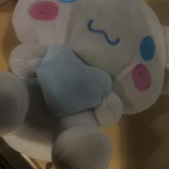 Peluix, segons ha informat Jaarbeurs mitjançant iLost