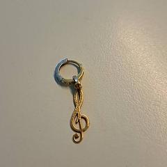 Oorbel, zoals gemeld door Ziekenhuis Oost-Limburg met iLost