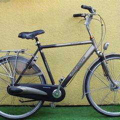 Batavus Greenparks herenfiets, framenummer: u194497