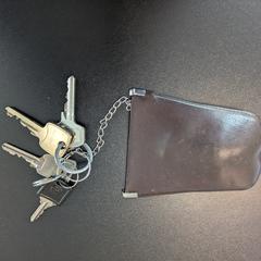 sleutelbos, segundo informou a iLost