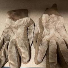 Kesztyű Bruin, amint azt RRReis IJssel-Vecht Lelystad az iLost segítségével jelentette.