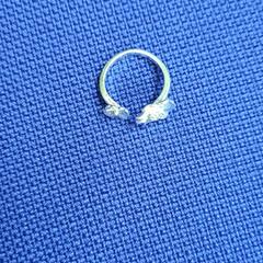 Ring, zoals gemeld door UvA REC met iLost