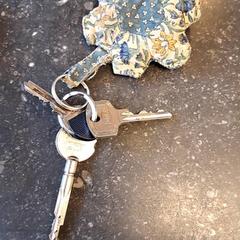 Sleutel، كما تم الإبلاغ عنه بواسطة Stadsgebied Weesp عبر iLost