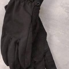 Gloves Zwart, as reported by Arriva Friesland / Groningen using iLost