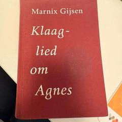 Boek, zoals gemeld door Ramada by Wyndham Amsterdam Airport Schiphol met iLost