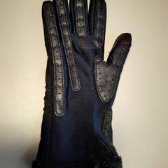 Glove, as reported by Twisto using iLost