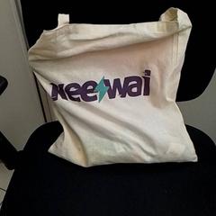 Bag Nones da costa, as reported by ilévia using iLost