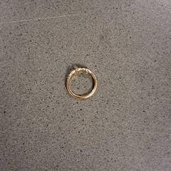 指輪 がiLostで Breng Nijmegen によって報告されました