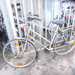 Damesfiets Batavus, som rapportert av Gemeente Noordwijk ved bruk av iLost