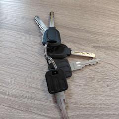 Claus, segons ha informat EBS OV Poeldijk mitjançant iLost