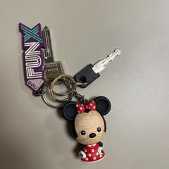 Sleutelbos, gemeldet von Pathé Schiedam über iLost