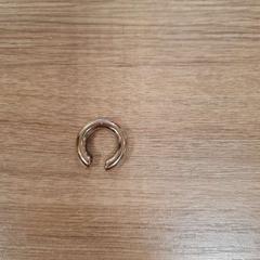 Earring, as reported by Breda University of Applied Sciences Mgr. Hopmansstraat using iLost