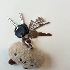 Nøkkelring Hanger B en Mallorca, som rapportert av Gemeente Weert ved bruk av iLost