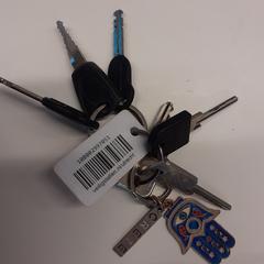 Sleutelbos, amint azt az iLostnak jelentették.