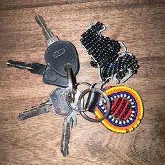 Sleutelbos an iLost gemeldet