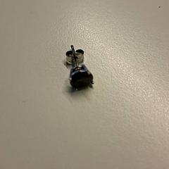 Earring, as reported by Ziekenhuis Oost-Limburg using iLost