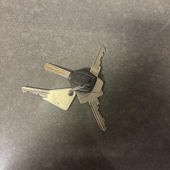 Sleutel utrecht centraal jaarbeurs, ako bolo nahlásené iLost