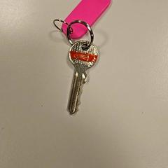 Kľúč, ako bolo nahlásené Vrije Universiteit Amsterdam pomocou iLost