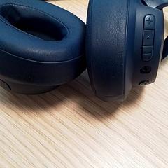 Cuffia blauw, come riportato da Qbuzz Fryslân utilizzando iLost