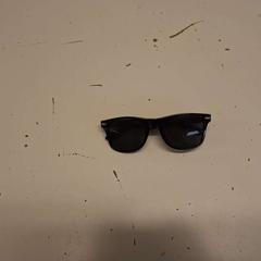 Sunglasses Zwart, as reported by Avonturenpark Hellendoorn using iLost