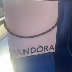 Pandora tasje met inhoud, as reported to iLost