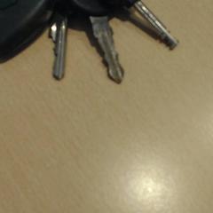 Bilnøkkel, som rapportert av Walibi Holland ved bruk av iLost