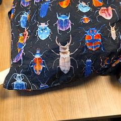 Sack, gemeldet von RRReis Veluwe Zuid - Ede über iLost